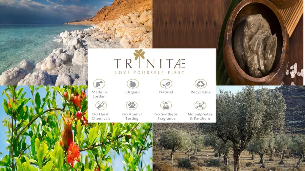 Nachtmann Vorteilsset 6 X 1 Glas/Stck Becher 636/71 Highland Smoke 97443 Und Gratis 1 X Trinitae Körperpflegeprodukt - Image 4